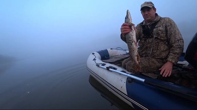 р.Кия! Ловля Щук на Перемет! Неплохой Улов- день Второй! смотреть онлайн