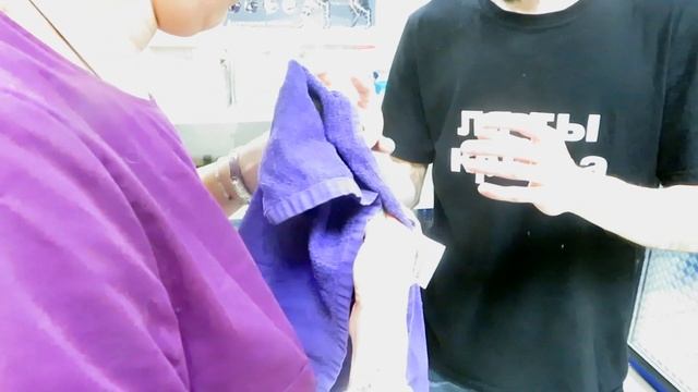 Полный осмотр и чистка дикого крысёнка у ветеринара! ? Липа в клинике. ? (Wild Rats|Дикие крысы) ? смотреть онлайн