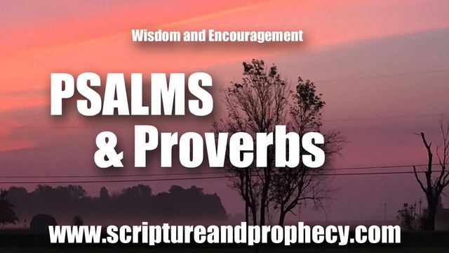 Wisdom From Psalm 56-57 & Proverbs 7: I Make My Refuge, Until These Calamities be Overpast смотреть онлайн