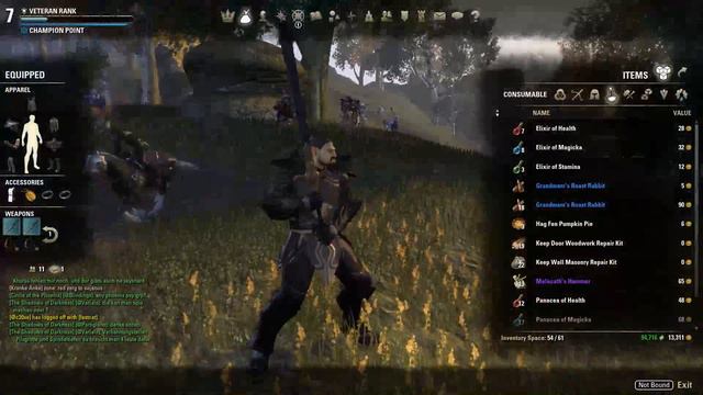 The Elder Scrolls Cyrodiil - Erection Problem?!! Part 2 смотреть онлайн