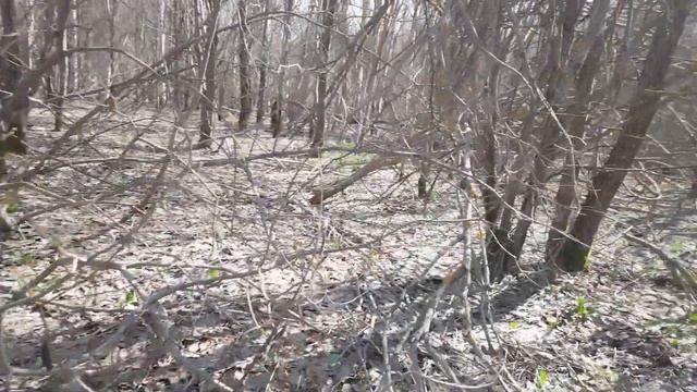 ЦЕЛАЯ КОРЗИНА СМОРЧКОВ!!! Апрель 2023года!