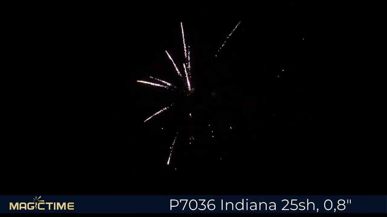 P7036 Indiana смотреть онлайн