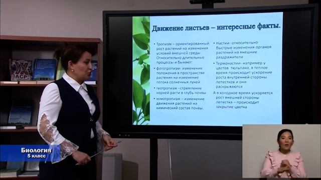 5-класс. 11.04.2020 г. смотреть онлайн