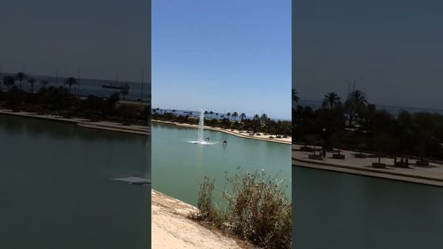 Пальма де Майорка | Уличный музыкант смотреть онлайн