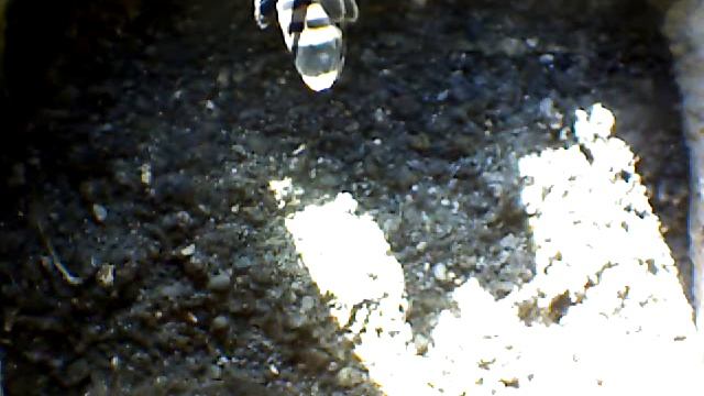 From Internet Camera(Turmfalken[03:1A:A5])2014/06/30,18:32:46_D смотреть онлайн