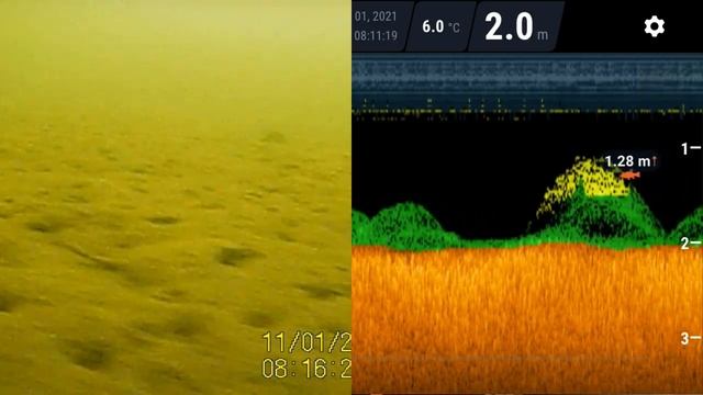 Что на самом деле показывает deeper pro+_часть 2_CALIPSO.mp4 смотреть онлайн