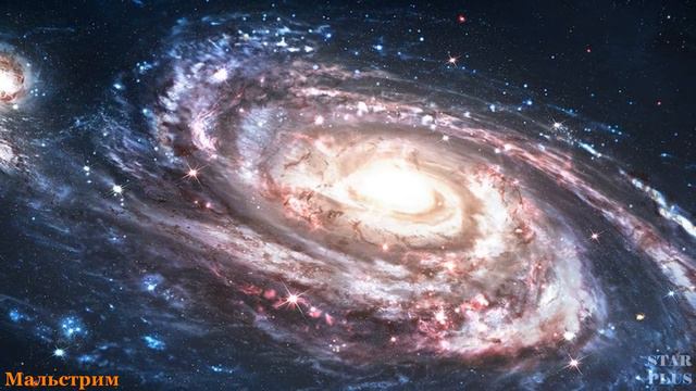 Warhammer 40000 Мальстрим смотреть онлайн