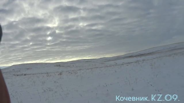 Охота на зайца-русака. Два-один !!! смотреть онлайн