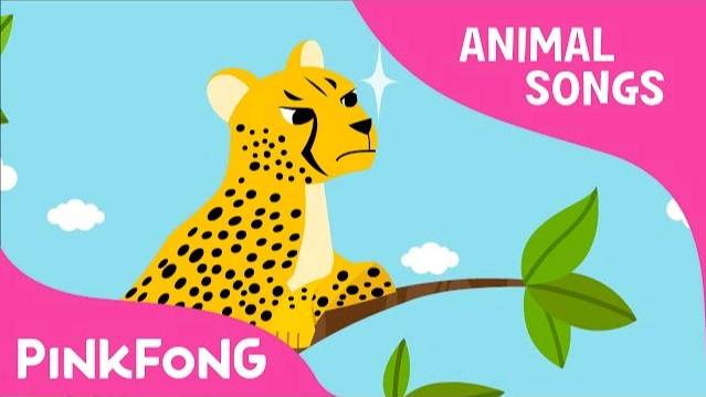 Cheetah Bang Bang | Cheetah | Animal Songs | Pinkfong Songs For Children