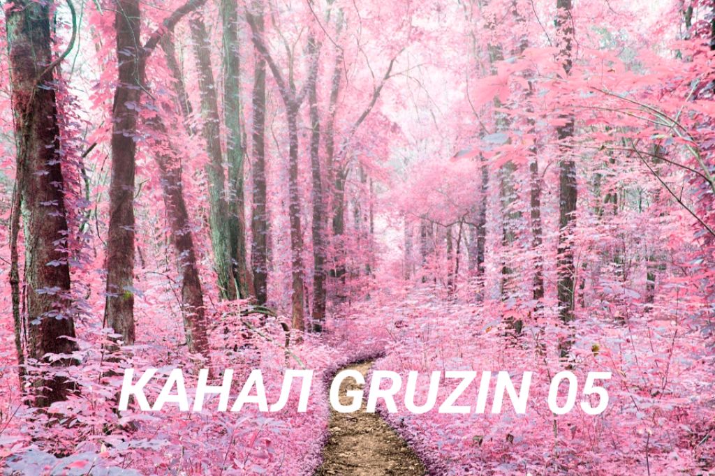 КАНАЛ GRUZIN 05