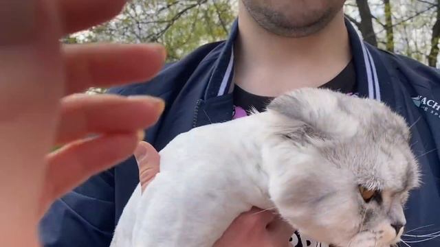 КОТ КЕВИН ЕЛЕ ВЫЖИЛ! С КОТОМ ВХОД РАЗРЕШЁН 2021! смотреть онлайн