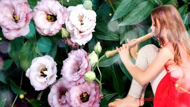 Услышав, как дочка играет на дудочке знакомую мелодию, Полина зарыдала Истории любви до слез смотреть онлайн