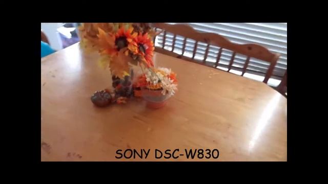 SONY DSC-W830 Comparison to LG K20 PLUS смотреть онлайн