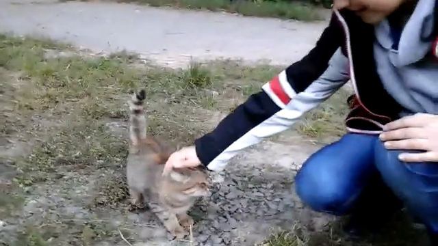 Тест квадрика JJRC H31 и мини-гексокоптера JJRC H20 на улице смотреть онлайн