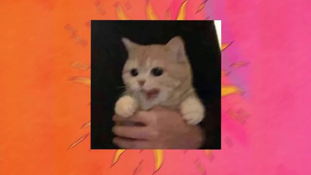 Flëur   Будь моим смыслом Пожалуйста, будь моим, пожалуйста, будь моим смыслом Spedup Tik Tok1