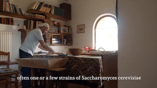 Sourdough and brewer's yeast: what's the difference? смотреть онлайн