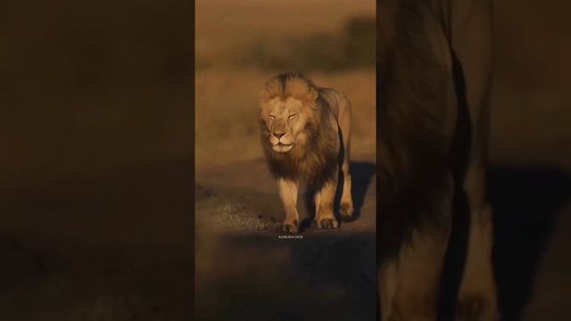 ИНОГДА ТЫ ПАДАЕШЬ ДУХОМ