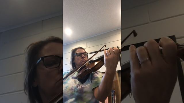 Vivaldi Largo from “winter” смотреть онлайн