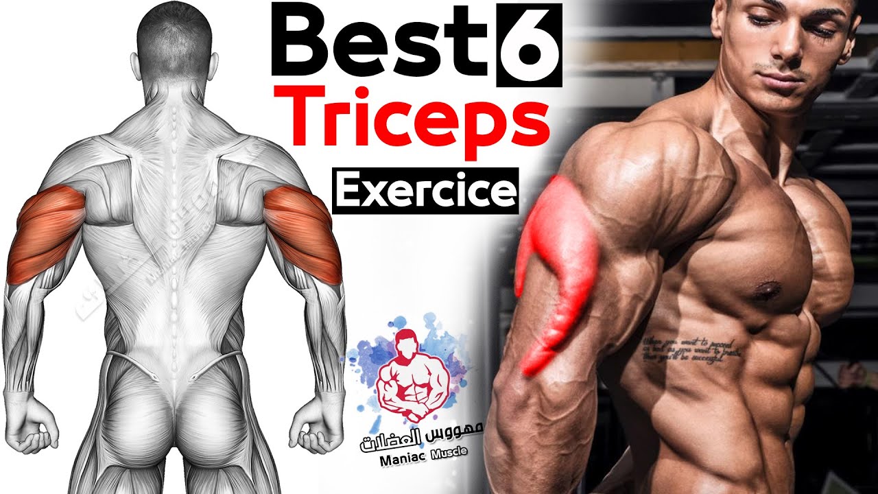Как быстро накачать трицепс (6 эффективных упражнений) смотреть онлайн