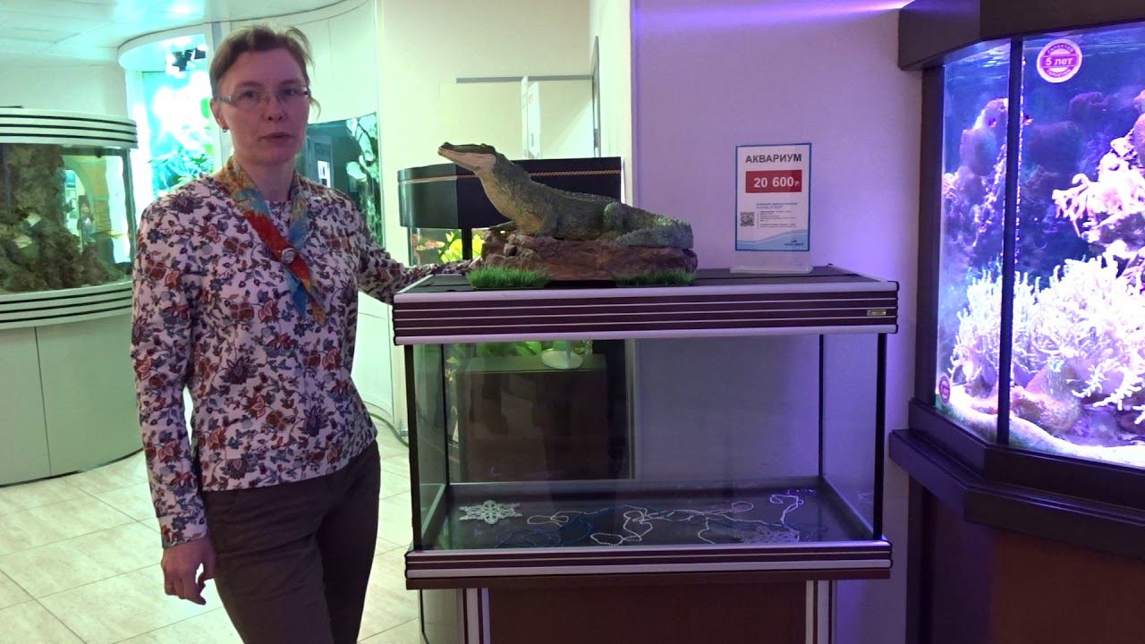 Аквариум с тумбой Anubias B-850F смотреть онлайн