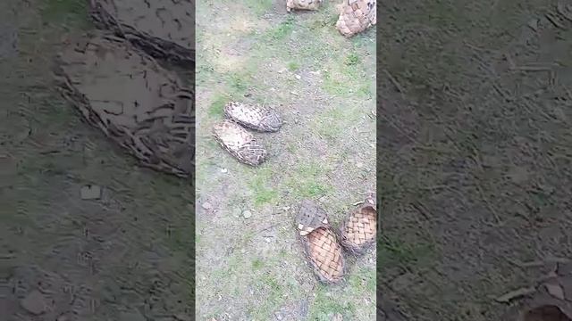 лапти русские каждый день с 8:00 до 12:00 смотреть онлайн