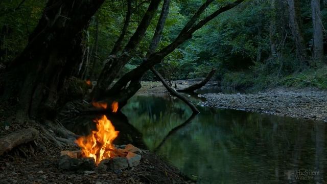 Антуриум болезни листьев с фото. Как лечить? смотреть онлайн