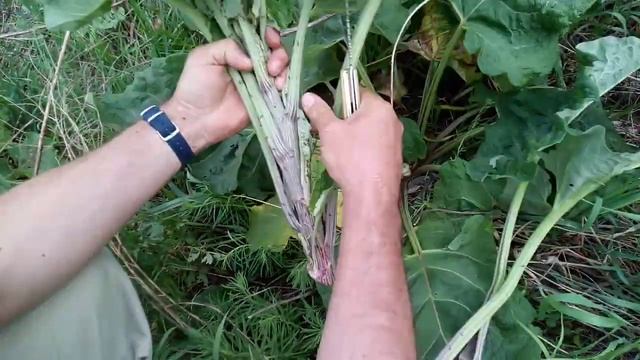 Стройка Глазами Архитектора