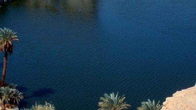 Клип. Жираф. Стихи Н. Гумилёв, музыка О. Лебедев, исп. И. Харабет Донской смотреть онлайн