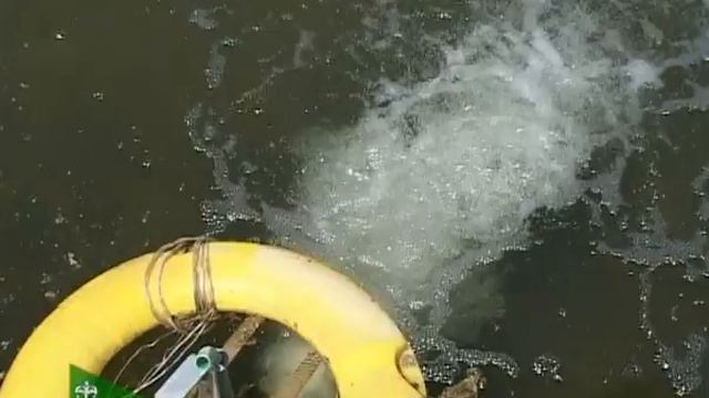 Состоялось пленарное совещание по развития сельских территорий. 01.06.2018 смотреть онлайн