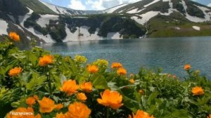 Урок по окружающему миру  "Заповедные тропинки. Правила поведения в заповедниках"