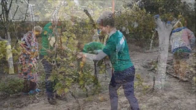 Акция Импульс добра Сотвори добро п Весёлый смотреть онлайн