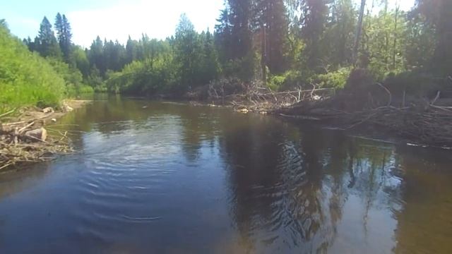 Не совсем одиночный сплав по реке Койва смотреть онлайн