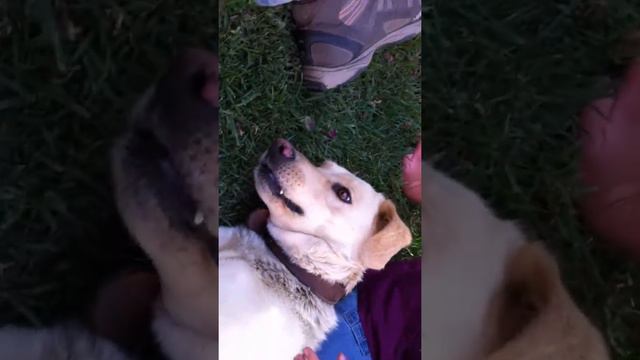 Я скучаю по тебе смотреть онлайн