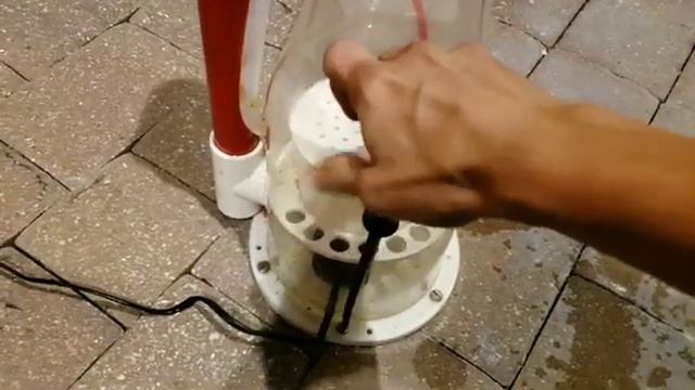 that time of the year. Skimmer cleaning! смотреть онлайн