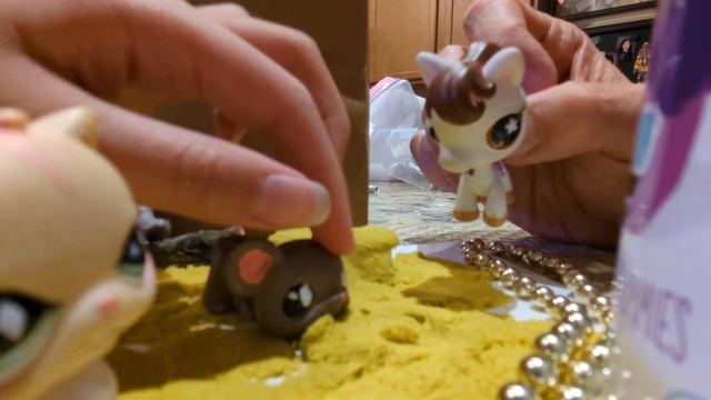 LPS - Beach Book Fair смотреть онлайн