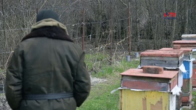Окрестности. Павловский район. Сухое Данило смотреть онлайн