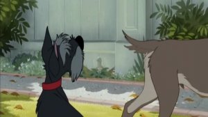 собака бывает кусачей Никитины