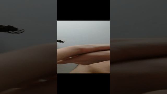 VID_20221121_103928.mp4 смотреть онлайн