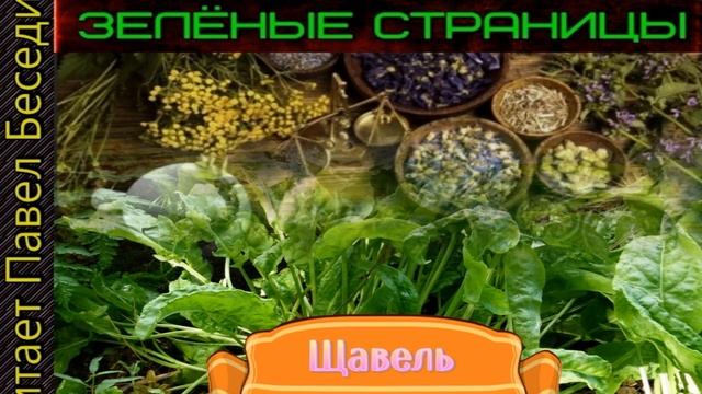 Репейник —Андрей Плешаков— читает Павел Беседин