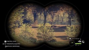theHunter: Call of the Wild. Как быстро прокачать собаку?