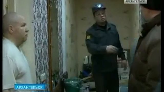 Рейд ветеринаров в посёлке Силикатный смотреть онлайн