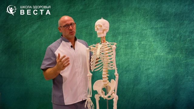 Логика тела часть 3 смотреть онлайн