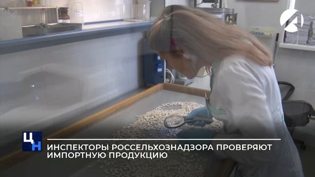 Инспекторы Россельхознадзора проверяют импортную продукцию смотреть онлайн