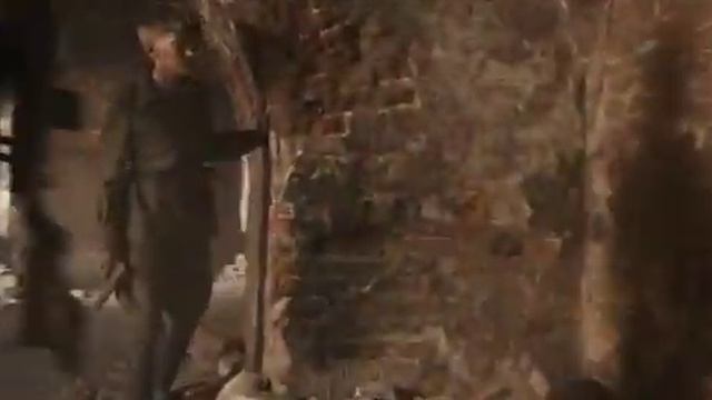 The Brest Fortress 2010 DVD