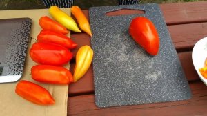 Томат Карнабель f1 Что выросло из своих семян.Обзор и дегустация.