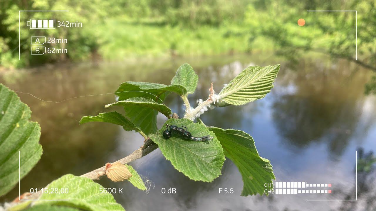 Подповерхностный мормышинг смотреть онлайн