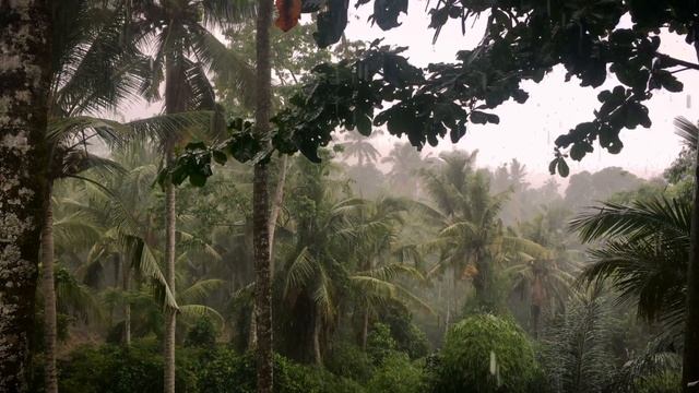 Tropical Rain 2 Hours Relaxation | 4K Ultra HD