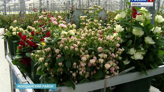 Пять советов для потрясающего букета из роз на 1 сентября смотреть онлайн