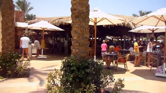 Iberotel Club Fanara смотреть онлайн