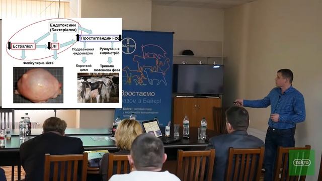 Проблеми неплідності корів смотреть онлайн
